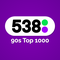 538 90s top 1000 hitnoteringen 2025