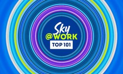 Sky at Work Top 101