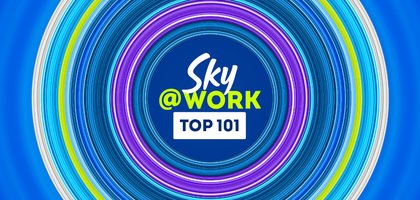 Sky at Work Top 101